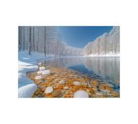 TODOAA Winter Scenes Pictures Winter lakeside trees scenery Canvas Print Wall Art Mountain Forest Landscape Nature Rustic Scenic for Living Room, Bedroom, Office(blue)-40x60cm Unframed