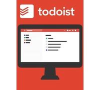 Todoist | Pro (PC) (1 Device, 3 Months) - todoist.com Key - GLOBAL