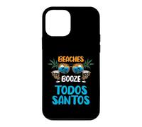 Todos Santos Mexico Case for iPhone 12 mini