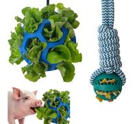Toeloioh 2PCS Pig Enrichment Toys, Mini Pig Supplies, Hanging Chew Ball with Rope + Replaceable Feeder Foraging Ball, Interactive Pig Enrichment Toy Set for Pigs, Treat Dispensing & Chew Activity Toy