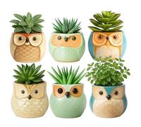 Toemics Ceramic Succulent Planter Pots Set (Cute Owl-6 Pack)