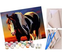 ToeTs DIY Paint by Numbers for Adults Beginner, Easy Paint by Numbers for Beginner,Acrylic Watercolor Paint by Number for Kids Gift Decor - Black and White Horse 16x20 Inch