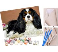 ToeTs Paint by Numbers for Adults, 40x50 cm Acrylic Oil Paints by Numbers for Adults Beginner Kids Cavalier King Charles Spaniel Dog Painting Kit with 4 Brushes Watercolor Paints Easy