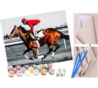 ToeTs Paint by Numbers for Adults, 40x50 cm Acrylic Oil Paints by Numbers for Adults Beginner Kids Horse Race Jockey Painting Kit with 4 Brushes Watercolor Paints Easy
