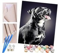 ToeTs Paint by Numbers for Adults and Kids DIY Painting Kit with 40X50cm Pre-Printed Textured Art Canvas, Acrylic Paints, & 4 Brushes, Ideal for Beginners Staffordshire Bull Terrier Black Dog