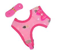 Tofficu Pet Hen Harness and Leash Set Pink Pineapple Pattern Medium Size Adjustable Chicken Vest Rope for Outdoor Traction and Poultry Walking Accessory
