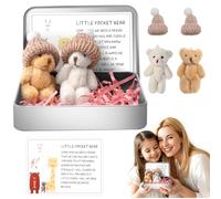 TOGETDREAM 2 Pcs Little Pocket Bear Hug in a Tin Box, Worry Bear Hug in a Box Mini Plush Bears Set with Inspirational Card Handmade Mini Plush Teddy Bears in Box for Friends Women Men Birthday