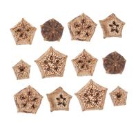 TOGEVAL 12pcs Natural Parrot Chewing Toys Healthy Foraging Balls for Parakeets and Cockatiels Bird Toys for Cage Sturdy Chew Accessories for Small Birds