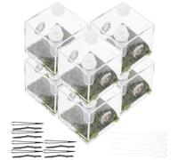 TOGEVAL 2 Sets Small Acrylic Jumping Spider Feeding Boxes Reptile Breeding Containers for Insects and Spiders Suitable for Florida Habitat and Pet Display