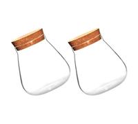 TOGEVAL 2pcs Small Glass Ecological Bottles with Cork Stoppers for Succulent Plant Hydroponics, Micro Landscape Vases for Home Decoration and Moss Display