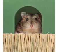 TOGEVAL 3Pcs Natural Sea Grass Mat Edible Bedding Floor Mat for Rabbit Cage Small Animals Hamster Mattress Chew Straw Bed for Guinea Pig