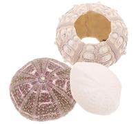 TOGEVAL 3pcs Sea Urchin Shell Air Plant Pots Small Sea Shell Fish Tank Decorations Versatile DIY Craft Desktop Ornaments for Home Office Aquarium Display