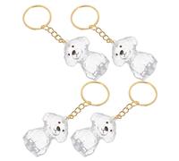 TOGEVAL 4pcs Pet Hair Keepsake Keychain Transparent Capsule Pendant for Dog Hair Storage Compact Dustproof Memorial Ornament for Keys and Bags Portable Tribute for Dog Lovers