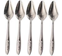 TOGEVAL 5Pcs Stainless Steel Parrot Feeding Spoons Milk Spoon for Birds Lightweight Wear-resistant Hand Feeding Tool for Small to Large Pet Birds