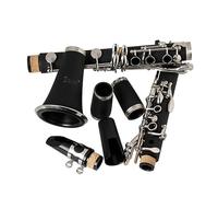 TOGEVAL Black Clarinet for Beginners B Clarinet Student Musical Instrument Woodwind with Precise Openings and Temperature Resistant for Practice and Exams