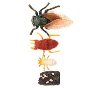 TOGEVAL Cicada Life Growth Cycle Model Educational for Realistic Evolution Craft School Supply Nature Kit for Boys