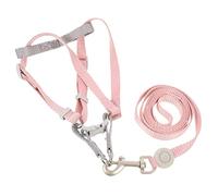 TOGEVAL Dachshund Dog Harness Dog Harness and Leash Set Puppy Training Stylish and Comfortable