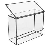 TOGEVAL Glass Ecological Terrarium Jar with Moss and Succulent Plants, Miniature DIY Micro Landscape Container for Indoor Desktop Garden, Handcrafted Geometric Glass Planter 145x80x195mm