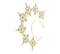 TOGEVAL Golden Gothic Lolita Lady Crown Headpiece Lightweight Comfortable Wedding Tiara Hair Accessory for Balls Parties Halloween Christmas Celebrations