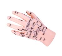 TOGEVAL Human Hand Acupuncture Model Accurate PVC Reflexology Display for Tcm Teaching Hand Massage Simulation Educational Tool for Medical Institutions and Massage Therapy Centers