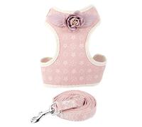 TOGEVAL Miniature Dachshund Harness Bulldog Harness Dog Harnesses Pull Rope Fashionable Chest Strap