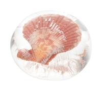 TOGEVAL Moisturizing Acid Essential Oil Soap Jelly Shell Bathing Face Washing Soap for Hydration and Gentle Cleansing