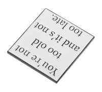 TOGEVAL Motivational Metal Lapel Pin with Chic Minimalist Design and Uplifting Quote You Re Not Too Old It's Not Too Late Stylish Badge Accessory for Backpacks Apparel Hats Encouraging