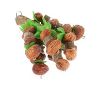 TOGEVAL Parrot for Birds Nut Chew Hanging Biting Plaything for Parrots and Pet Birds Safe Wear-resistant Material for Cage and Outdoor Fun