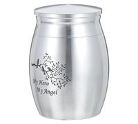 TOGEVAL Pet Cremation Urn Cinerary Box Anti-rust Memorial Ash Container for Cats Silver Keepsake with Smooth Lines