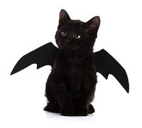 TOGEVAL Pet Halloween Wing Dog Cat Costume Black Bat Transformation Suit Comfortable Felt Cloth