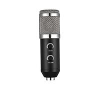 TOGEVAL Professional Condenser Microphone with Rack Holder and Reverberation Echo Function Angle Locking Knob Black Broadcast Recording Mic for Studio Podcast Voice-over and Radio