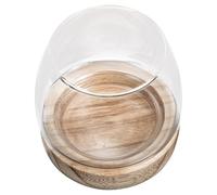 TOGEVAL Small Glass Fish Bowl with Wooden Base, Micro Landscape Vase for Home Decor, Mini Glass Plant Terrarium and Decorative Storage Pot for Desktop Display