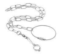 TOGEVAL Stainless Steel Bird Chain Stainless Chain Stainless Steel Rope Chain Parakeet Leash Bird Fly Train Leash Bird Traction Rope Chicken Harness Bird Fly Train Chain Bird Accesssory
