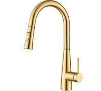 Tohlar Gold Kitchen Tap With Pull Out Spray - Stainless Steel Sink Mixer Tap in Brushed Gold Finish