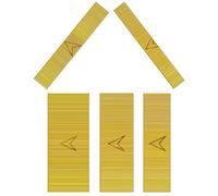 Toicann 23 Gauge, 5000 Pcs Copper Plated Pin Nails with 5 Sizes, Ideal for Pneumatic or Electric Pinner, Fine Woodworking