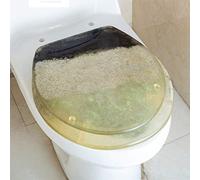 Toilet lid Toilet Seat, Beautiful Dolphin Toilet Seat, Soft Close Toilet Lid Cover, Quick Release Toilet Seats, Easy to Clean, Durable, A