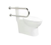 Toilet Safety Rails 304 Stainless Steel Toilet Elderly Care Equipment Home Improvement Bathroom Safety Rail Disabled Accessibility Bar(Handrail 60cm)