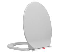 Toilet Seat Light Grey Polypropylene Oval 42.5x35cm Soft-Close Quick-Release UK