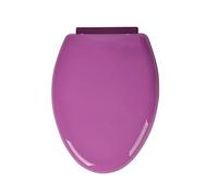 Toilet seat Will Slow Close, Toilet Seats Top Fixing and Easily, Elongated, Plastic Colored Toilet Seat,Purple