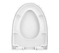 Toilet Seat with Chrome Hinges Will Slow Close and Never Come Loose, Ally Designed Arc Seat, Resin, Easy Installation White