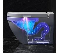 Toilet Sterilizing and Disinfecting Instrument,Toilet Bowl UVC UV Automatic Sensor Sterilizing Lamp, Rechargeable with 11 Aroma Tablets for Home, Hotel, Dormitory Toilet Wardrobe Shoe Cabinet