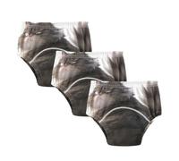 Toilet Training Pants Angry Fat Maine Coon Cat Under Garment