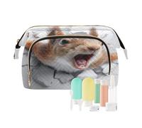 Toiletry Bags Funny Squirrel 3D Wall Art Lightweight Women Coin Purse for Makeup Brush