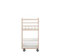 Tojo mobile roller container with horizontal bottle insert - TOJO 6101