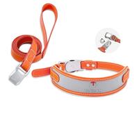 Tokcam Magnetic Quick-Release Buckle Dog Collar and Leash Set, Easy On & Off Faux Leather Adjustable Puppy Collar for Small, Medium, Large Girl Boy Dogs, for Daily Walks, Travel & Outdoor, Orange, XL
