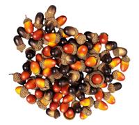 TOKIDNY 50pcs Artificial Acorn Ornaments for DIY Crafts Making Rustic Brown and Black Faux Acorns for Christmas Tree Hanging Wreaths Garlands and Festive Table Decorations