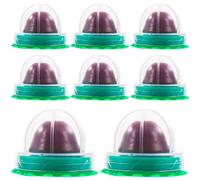 TOKIDNY 8PCS Catnip Vitamin Pudding Lollipop Snacks for Kittens Digestive Promoter Cat Treats with Hairball Control Tooth Cleaning Lickable Balls Random Flavor