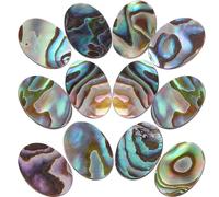 TOKIDNY Abalone Shell Charms Flatback Shell Pendants Assorted Color 12pcs with Material Versatile Decoration for Jewellery Making for Dome Necklace and Photo Pendant