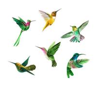 TOKIDNY Anti-Collision Window Decals Static Cling Bird Shape Stickers Made of PVC, Easy to Peel with No Residue, for Glass and Window Decoration in Living Rooms and Bedrooms