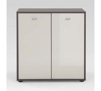 Tokio Dresser - 2 Door - Magnolia Glass and Havana Carcase - Silver Handle